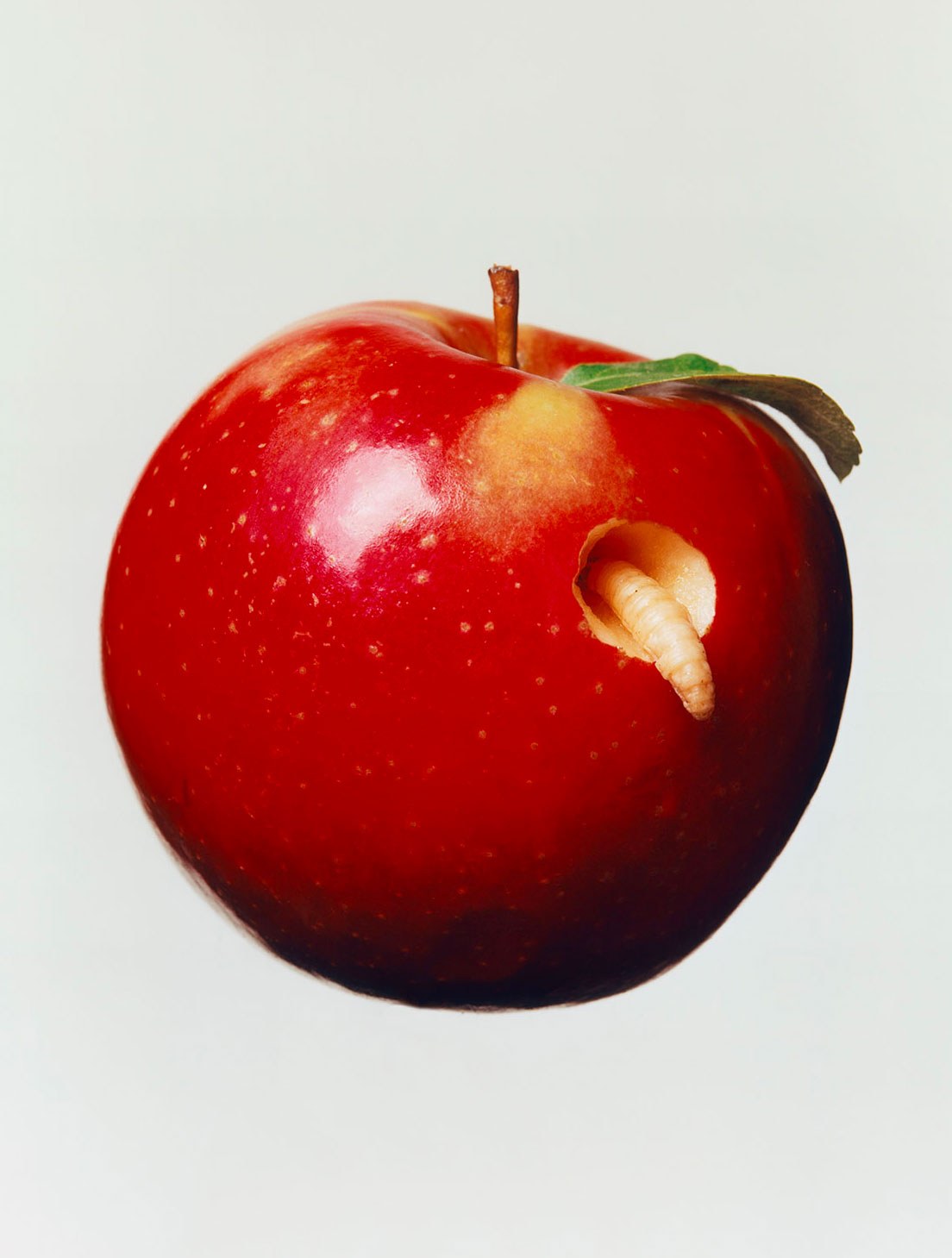 tools_apples_01b.jpg