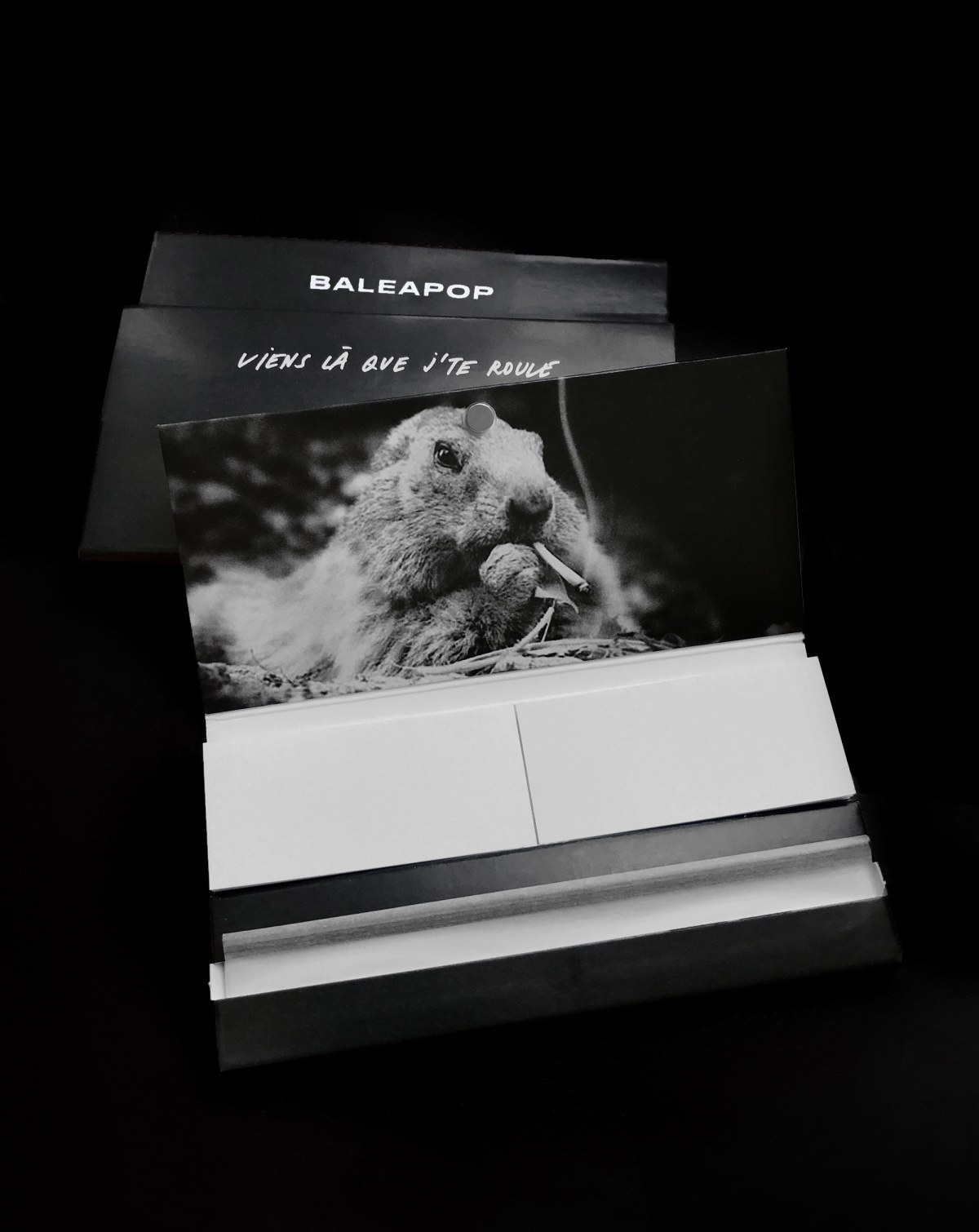 balea-photos-feuilles.jpg