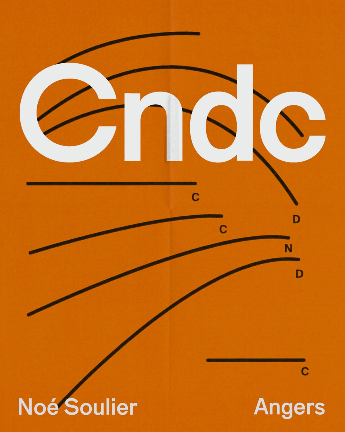 affiche_cndc2.jpg
