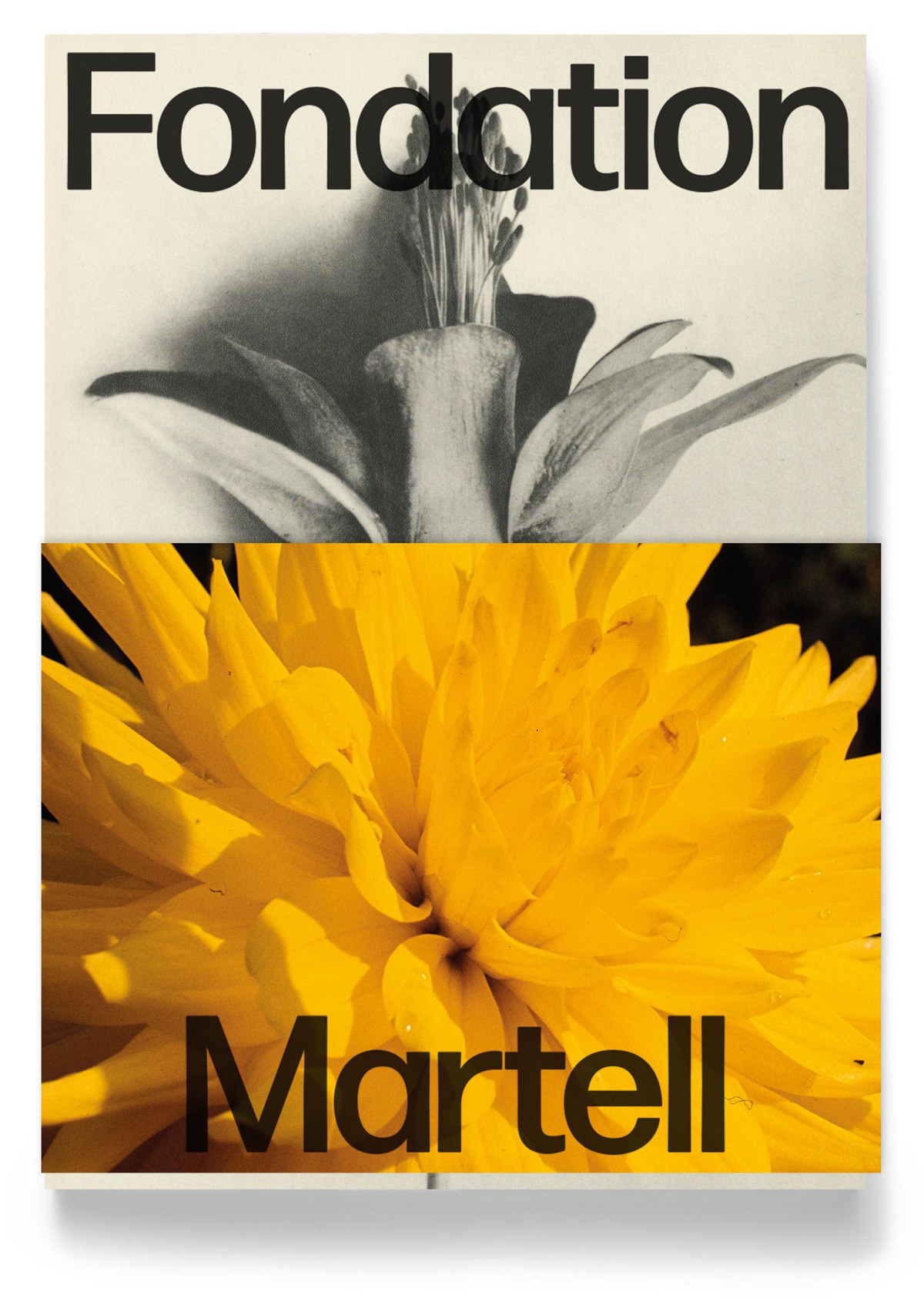journal-martell-2.jpg