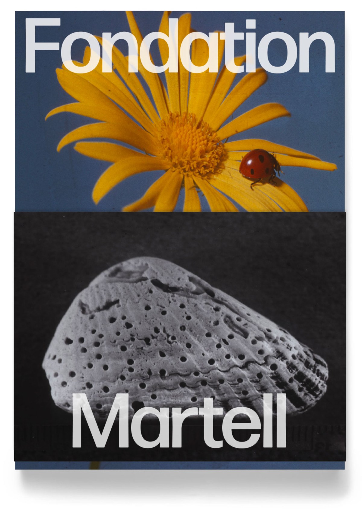 journal-martell-3.jpg