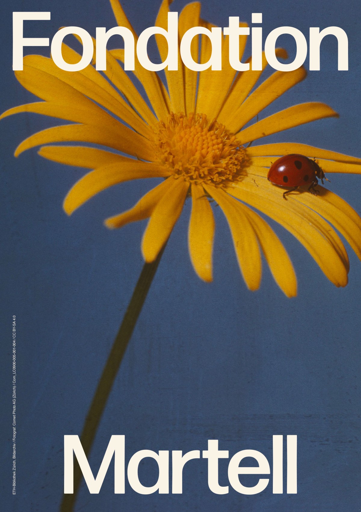 journal-martell-4.jpg