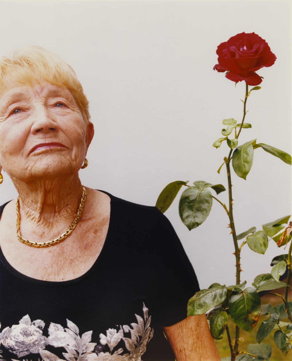 grannys-16.jpg