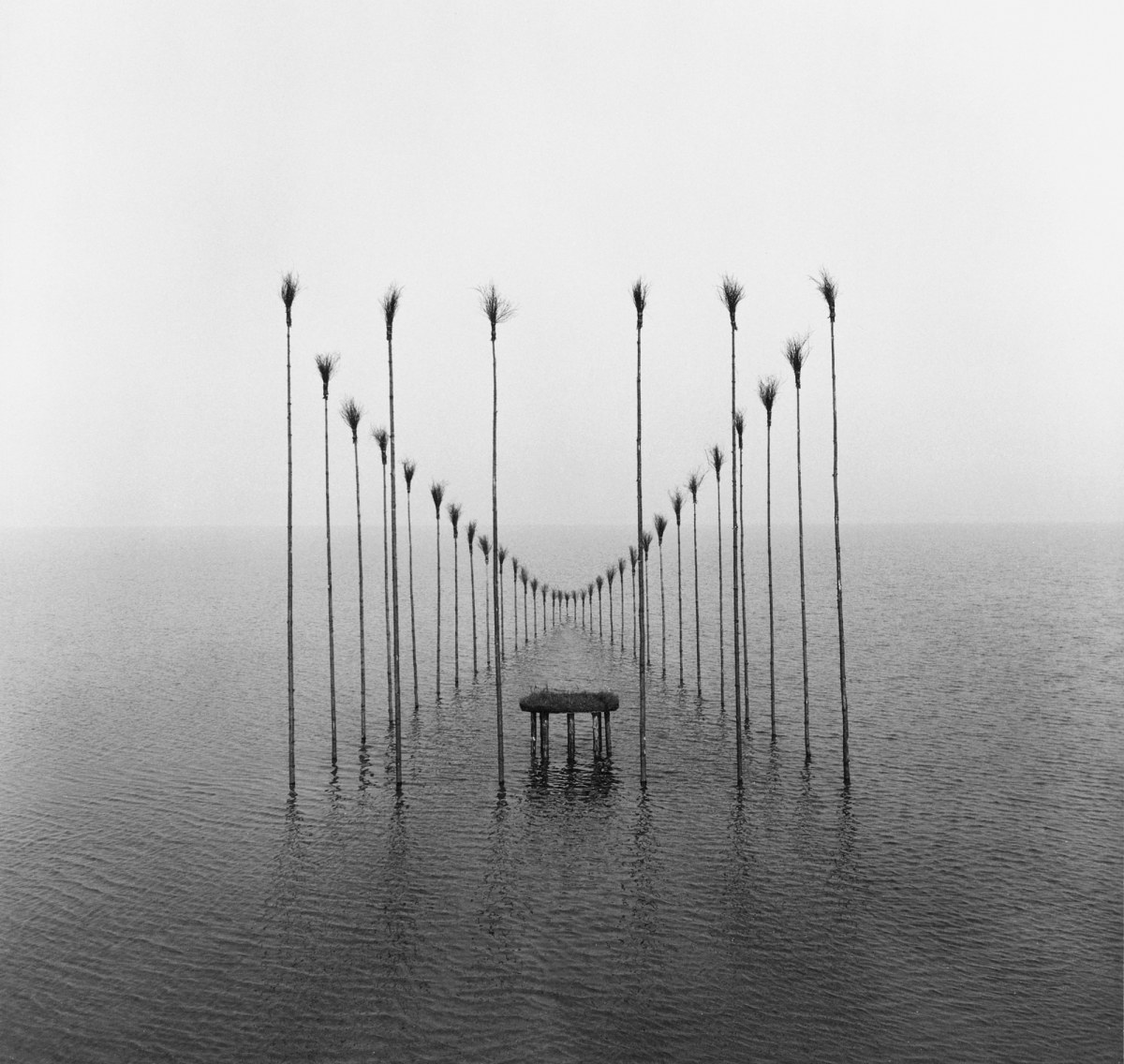 nilsudo-oeuvre2.jpg