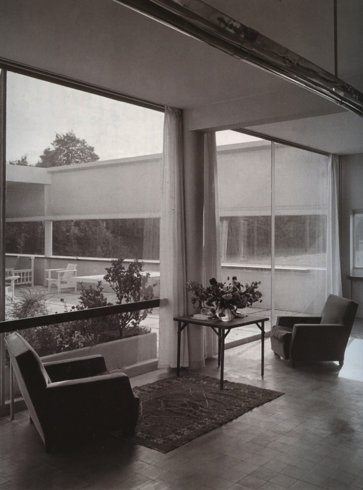steiner-image11.jpg